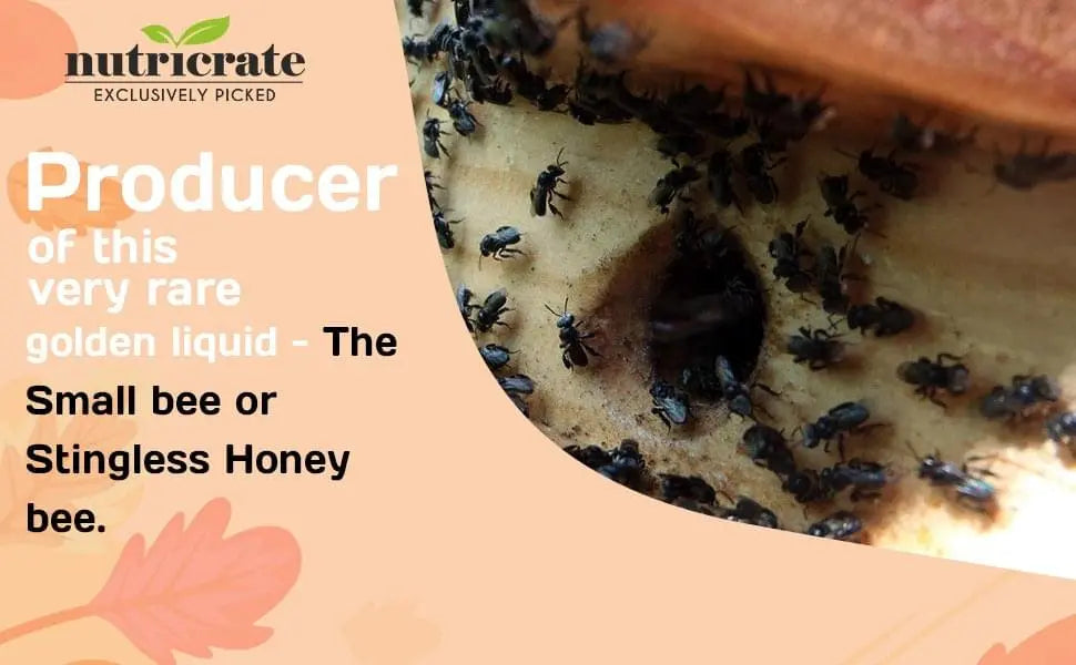 Nutricrate Pure Organic Raw Honey- Small Bee Honey 