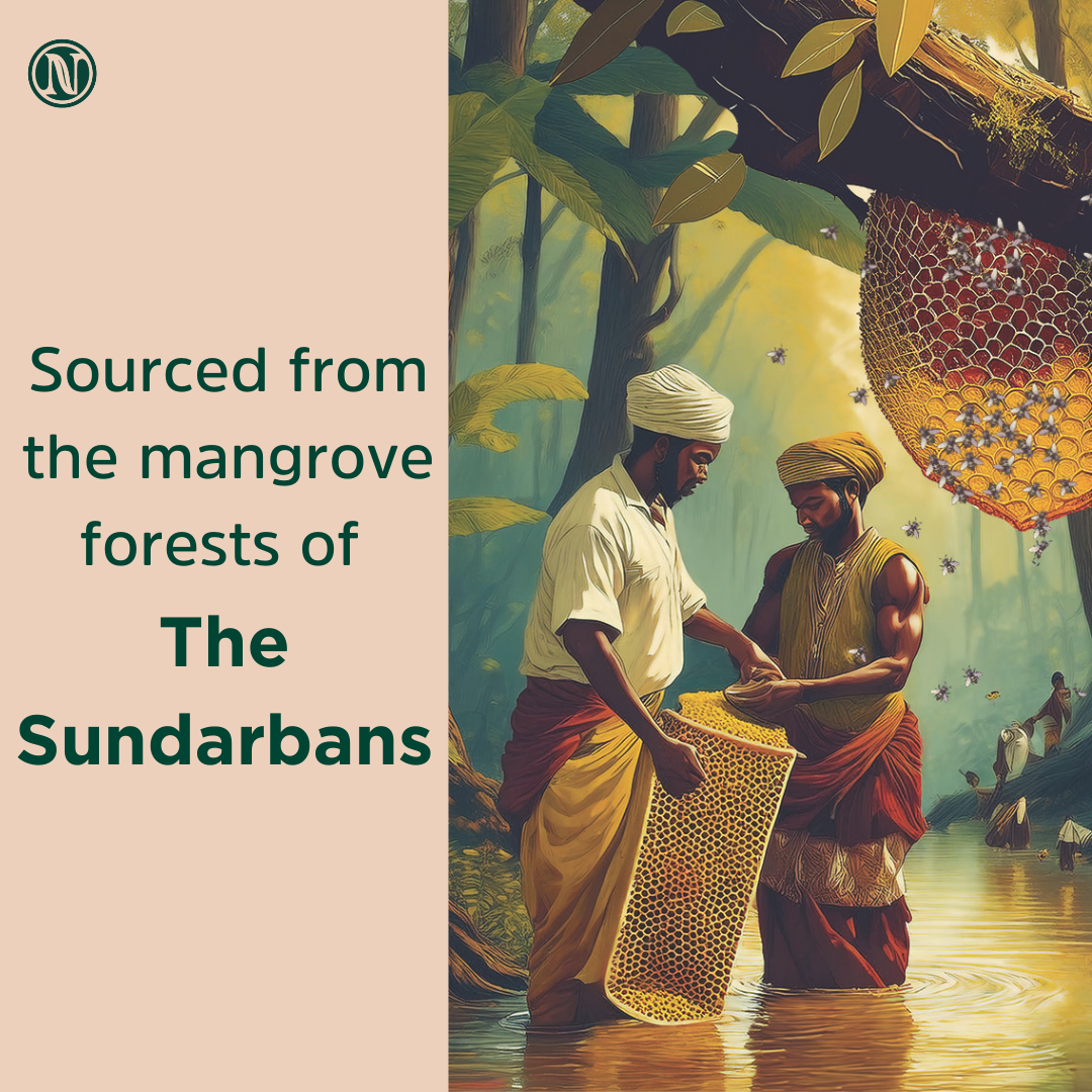 Nutricrate Sundarban Honey